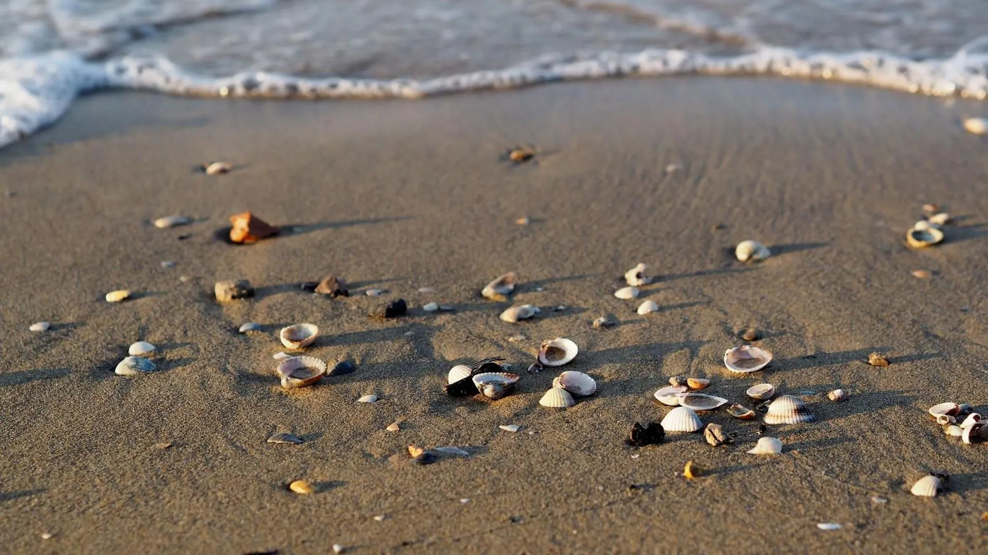 Tranquil Stay Steps From Shore In Bibione 0*,  Italy